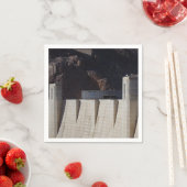 Hoover Dam Servet (Insitu)