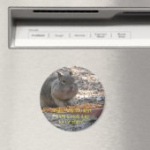 Hoover Eekhoorn Magnet (Insitu (Vaatwasser))