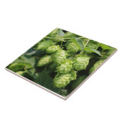 Hop Art (Wild Hops for the Hop Lover!) fototegel Tegeltje (Zijkant)