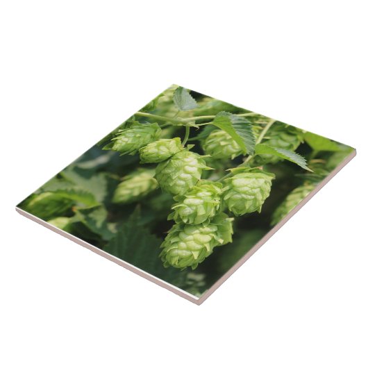 Hop Art (Wild Hops for the Hop Lover!) fototegel Tegeltje (Zijkant)