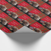 "HOP CALM AND KAT ON", RED TARTAN, CAT TEA PARTIJ CADEAUPAPIER (Hoek)