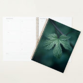 Hop Humulus Leaf Natuur Foto Planner (Display)