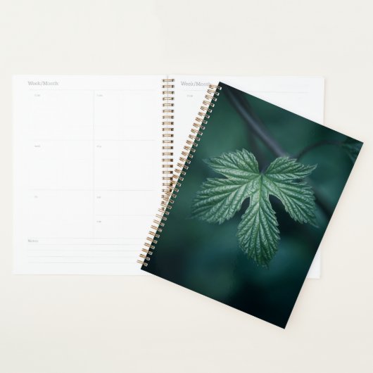 Hop Humulus Leaf Natuur Foto Planner (Display)