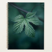 Hop Humulus Leaf Natuur Foto Planner (Voorkant)
