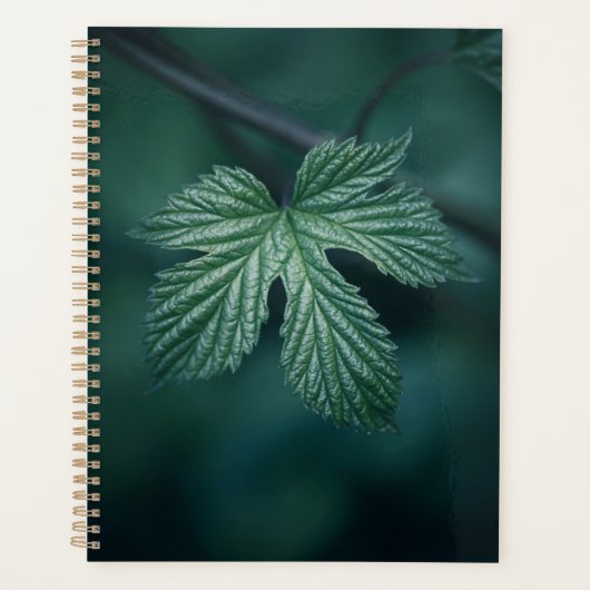 Hop Humulus Leaf Natuur Foto Planner (Voorkant)