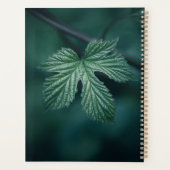 Hop Humulus Leaf Natuur Foto Planner (Achterkant)