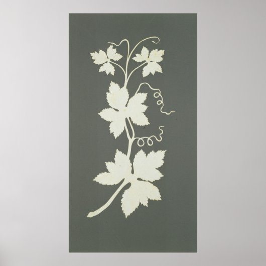 Hop plant poster (Voorkant)