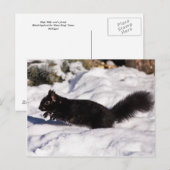 Hop, Skip en een Sprong Briefkaart (Voorkant / Achterkant)