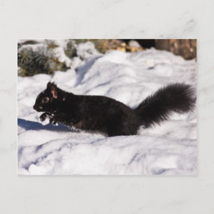 Hop, Skip en een Sprong Briefkaart