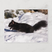 Hop, Skip en een Sprong Briefkaart (Voorkant)