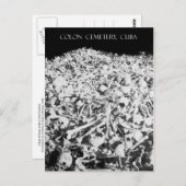 Hop van Botten op het kerkhof van Colon in Cuba Briefkaart (Voorkant / Achterkant)
