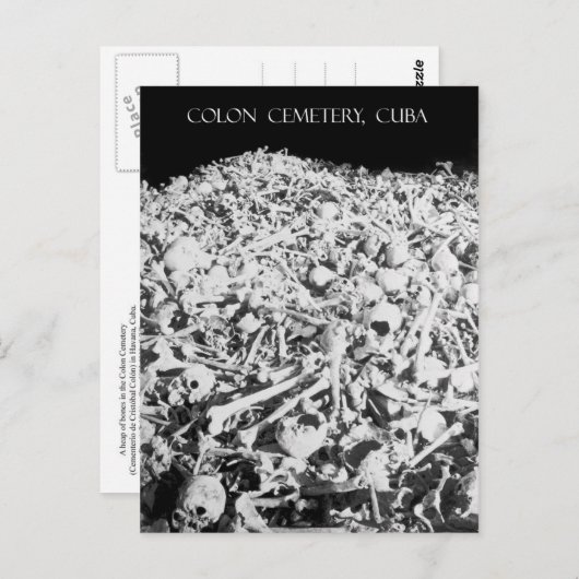 Hop van Botten op het kerkhof van Colon in Cuba Briefkaart (Voorkant / Achterkant)