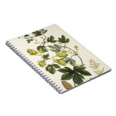 Hop Vine, van 'The Young Landsman', publiceerde Vi Notitieboek (Rechterzijde)