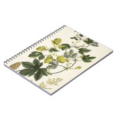 Hop Vine, van 'The Young Landsman', publiceerde Vi Notitieboek (Linkerzijde)