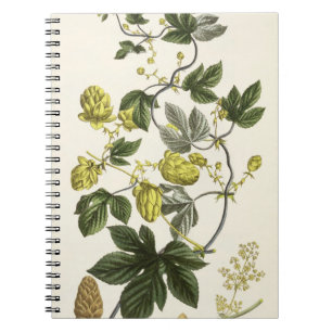 Hop Vine, van 'The Young Landsman', publiceerde Vi Notitieboek