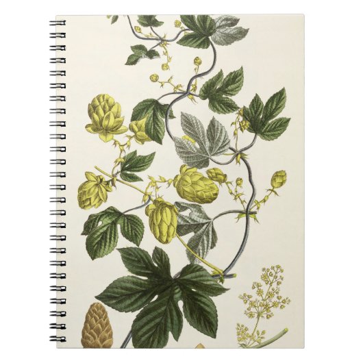 Hop Vine, van 'The Young Landsman', publiceerde Vi Notitieboek (Voorkant)