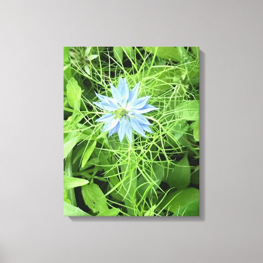 Hope 16 x 20 canvas afdruk (Voorkant)