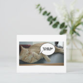 Hope and Change/Cat Humor Briefkaart (Staand voorkant)