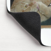 Hope and Change/Cat Humor Muismat (Hoek)