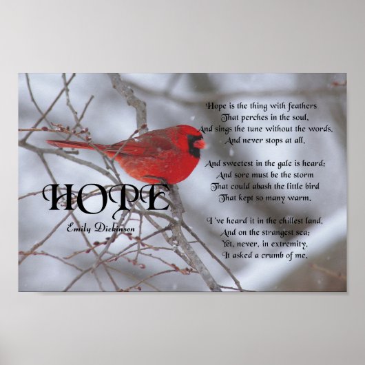 Hope, Emily Dickinson Poster (Voorkant)