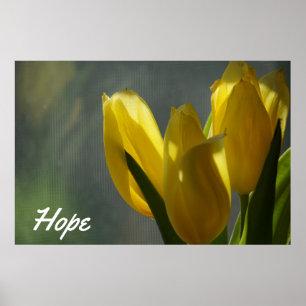 Hope - Gele Tulip Flowers Poster