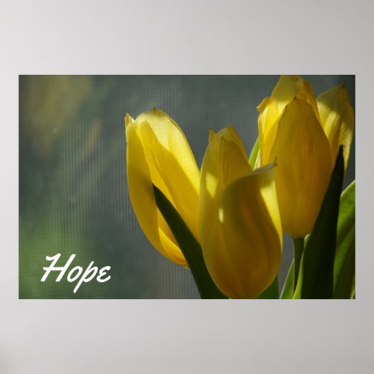 Hope - Gele Tulip Flowers Poster (Voorkant)