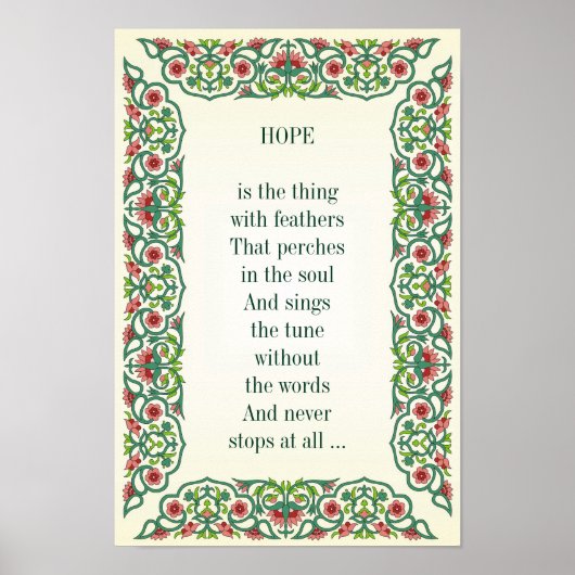 HOPE is het ding met veren die passen Poster (Voorkant)