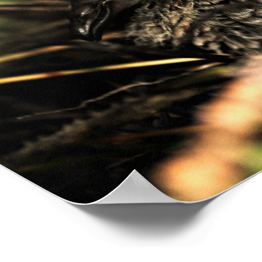 "Hope" is het ding met veren Poster (Hoek)