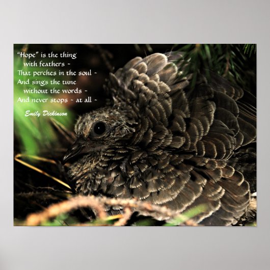 "Hope" is het ding met veren Poster (Voorkant)
