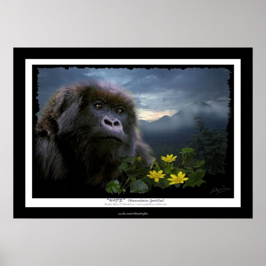 "HOPE" Mountain Gorilla Africa Wildlife Art Poster (Voorkant)