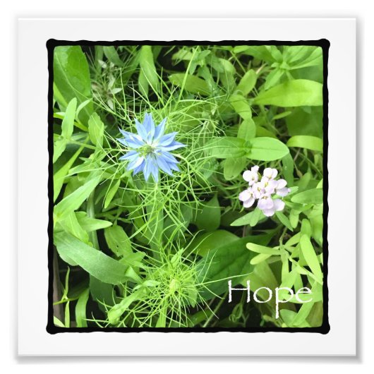 Hope Photo Print Foto Afdruk (Voorkant)