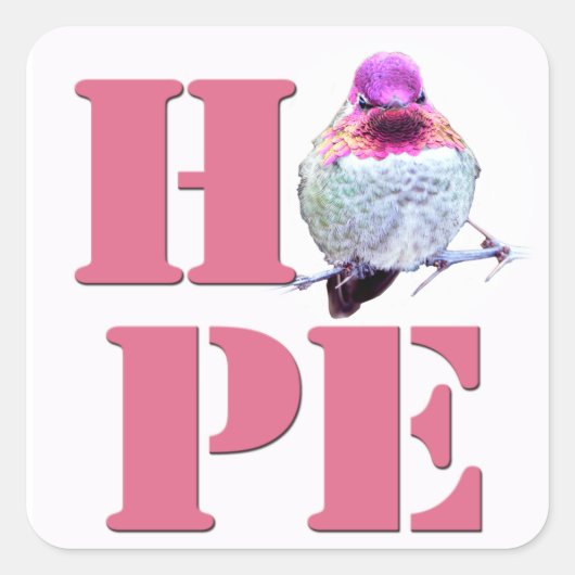 HOPE Pink Anna's Hummingbird Photo Square Sticker (Voorkant)