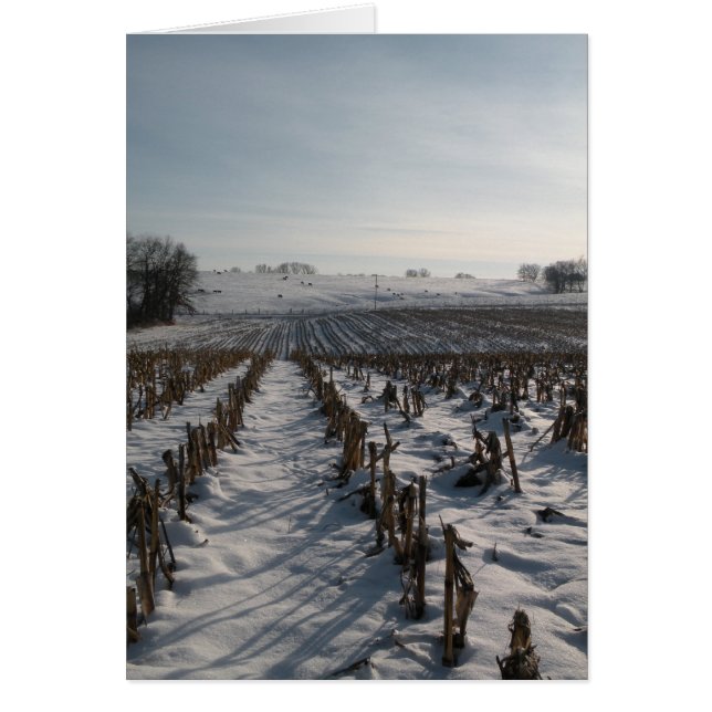 Hope Springs Eternal (Voorkant)