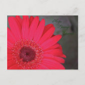 Hope Springs Eternal Briefkaart (Voorkant)