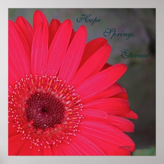 Hope Springs Eternal... Poster (Voorkant)