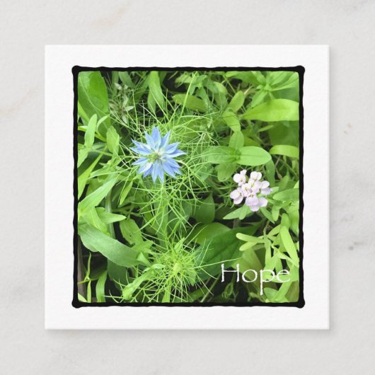 Hope Square Contactkaartje (Voorkant)