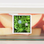 Hope Square Labels (Aangebracht)