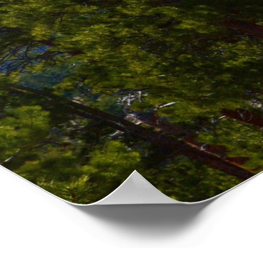 Hope/Support poster (Hoek)