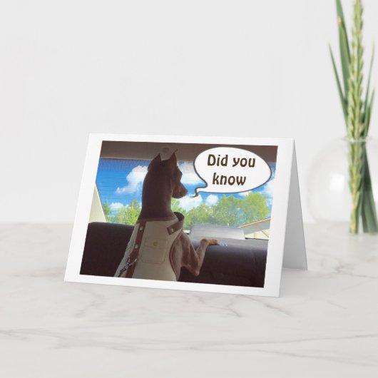 HOPE UW CHRISTMAS IS "ZO SPECIAAL ALS U" FEESTDAGEN KAART (Voorkant)