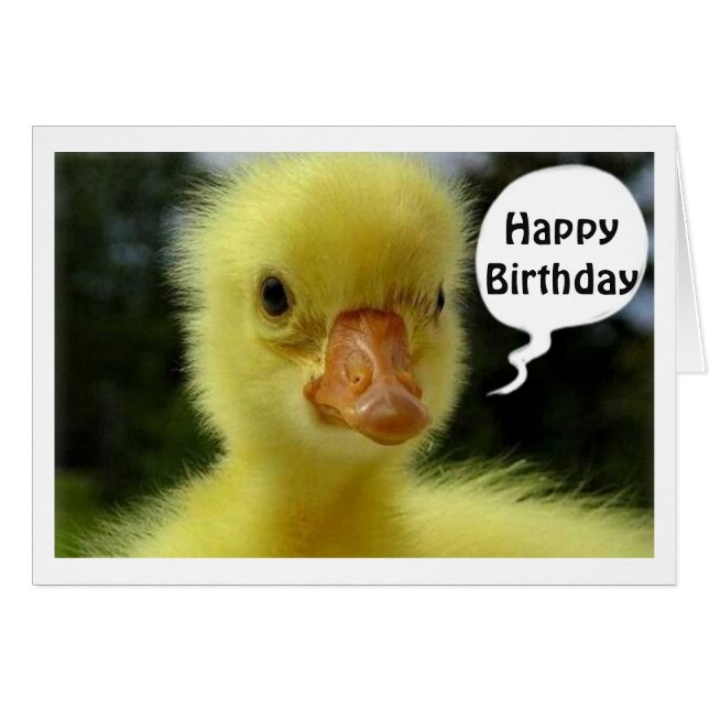HOPE YOUR BIRTHDAY IS JUST DUCKY SAYS DUCKLING (Voorkant Horizontaal)