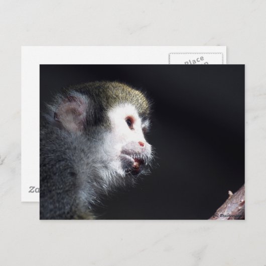 "Hopeful" Post Kaart (Voorkant / Achterkant)