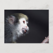 "Hopeful" Post Kaart (Voorkant)