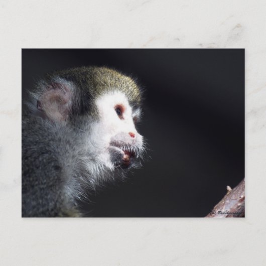 "Hopeful" Post Kaart (Voorkant)