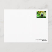 Hopelijk voel je je snel beter! briefkaart (Achterkant)