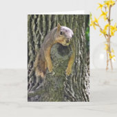 Hopelijk voel je je snel beter, Funny Squirrel Kaart (Gele Bloem)