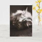 Hopen dat dingen opkijken / denken aan je Kaart (Gele Bloem)