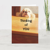 HOPEN DAT JE 'BETER' VOELT. KAART (Voorkant)