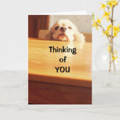 HOPEN DAT JE 'BETER' VOELT. KAART (Gele Bloem)