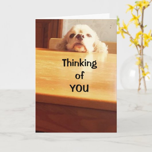 HOPEN DAT JE 'BETER' VOELT. KAART (Gele Bloem)