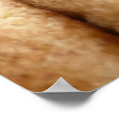 Hopen snickerdoodles poster (Hoek)